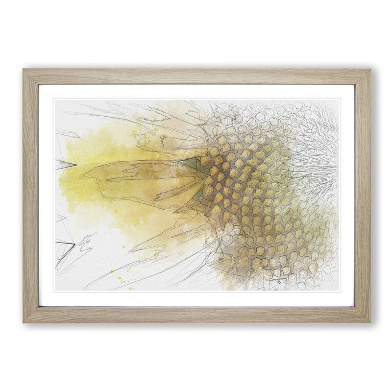 Petals of the Yellow Sunflower Sketch - Picture Frame Graphic Art Print, 40cm H x 60cm W x 2cm D, Oak Framed