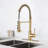 Red Cloud Pull Down Kitchen Faucet