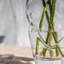 Waterbury Vase, Medium