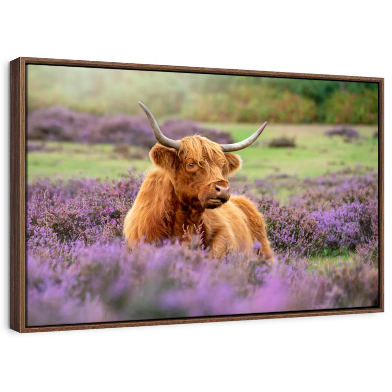 Brampt Highland Cow Paradise, H 17 po x l 25 po