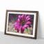 Purple Daisy - Picture Frame Painting Print-56758394-56758400