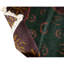 Wool Oriental Area Rug