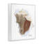 Giclée encadrée Honeybloom Coastal Conch, conception par Matthew Piotrowicz-76404961-76404974