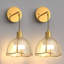 Battery Operated Armed Wall Sconce With Tulip Glass Shade, Remote Control Sconces