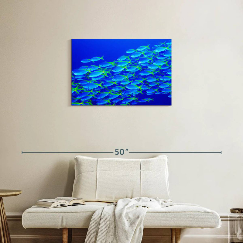 School Of Snapper Fish, 20" H x 30" W