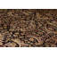 Lamani Wool Oriental Area Rug