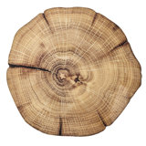 Woodland Placemat
