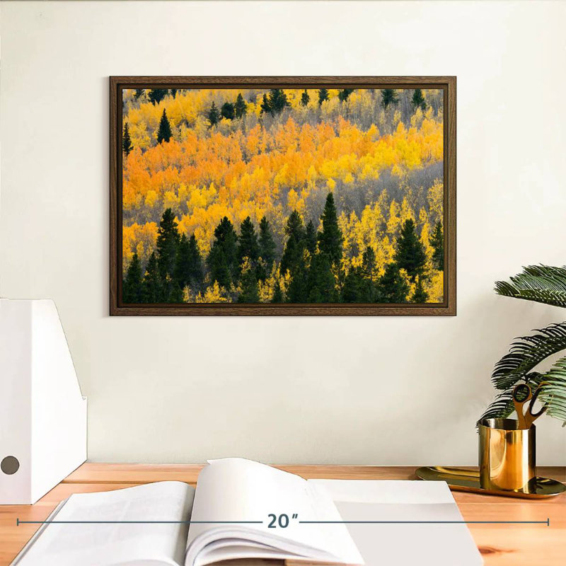 Colorado Aspen Wilderness, 13 po x 9 po, Cadre flottant noyer