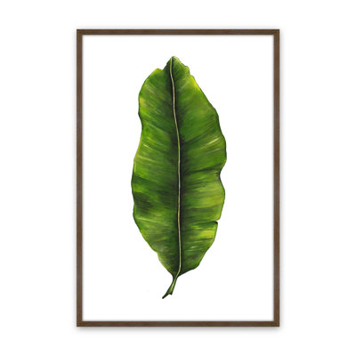 Reproduction d'art «Emerald Leaf Study» par Dollybirds