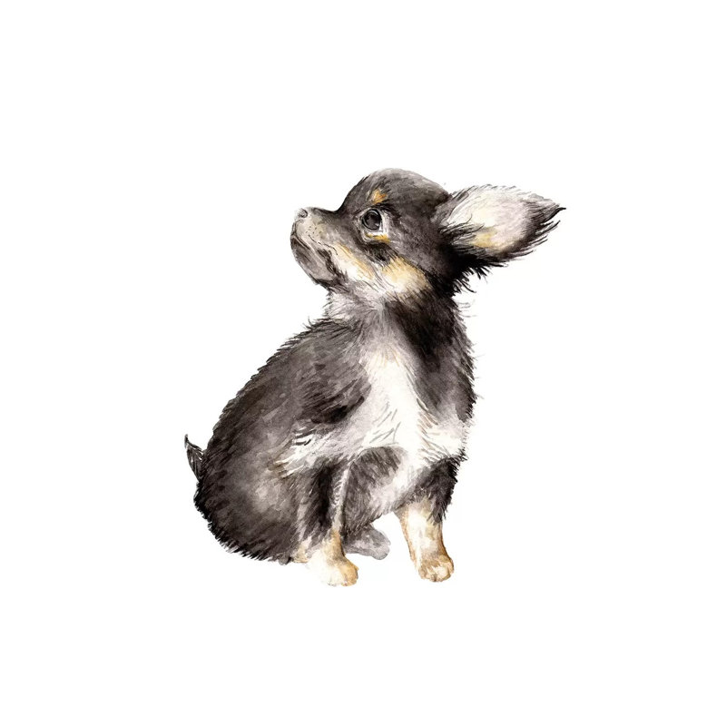Long-Haired Chihuahua by Wandering Laur - Wrapped Canvas Painting, 66.04 cm H x 66.04 cm W x 1.91 cm D