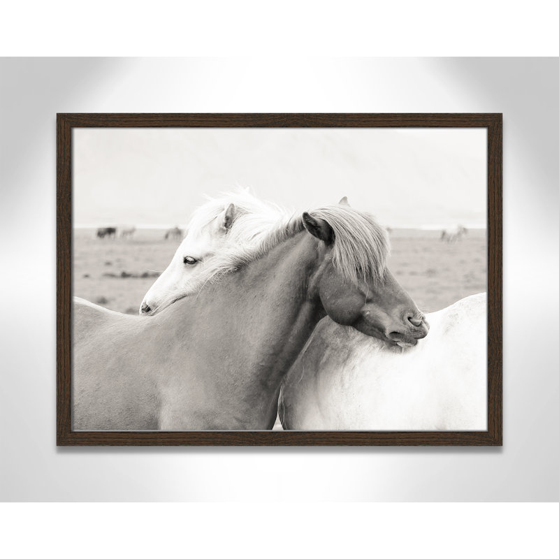 «Melanie Islandais Meadow Horses» par Danita Delimont - photographie encadrée sur papier, H 17 po x l 23 po x P 0,75 po