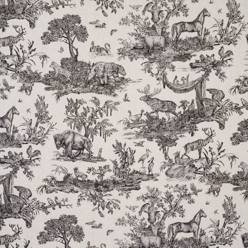 Tissu Western Toile, Carbone