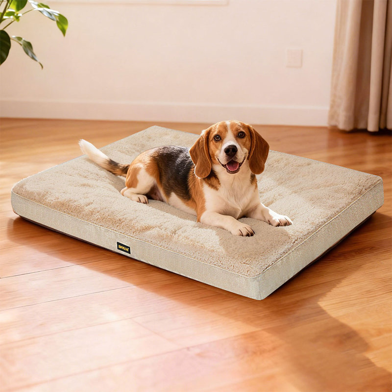 Orthopedic Polyester Pet Bed, Small (11cm H x 75cm W x 50cm D)