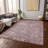 Machine Washable Indoor/Outdoor Xhevrie Blush Rug-815558237