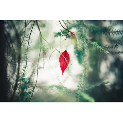 Red Autumn Leaf - Wrapped Canvas Print