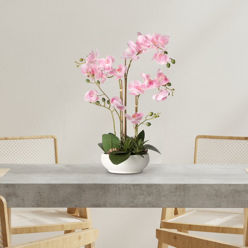 Primrue Silk Orchid Arrangement In Pot & Reviews - Wayfair Canada