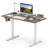 48” x 24” Electric Standing Desk with LED Display 2 Memory Height Settings for Home Gray+White-2042360886