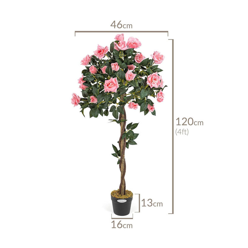 120cm Plant