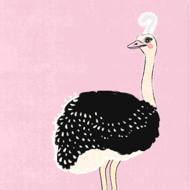 Pink Ostrich – Toehold
