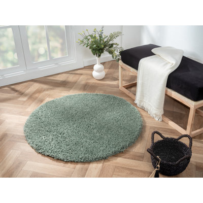 Lush shaggy carpet in  green