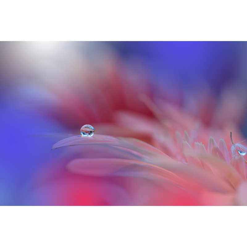 Wrapped Canvas Print, 60.96 cm H x 91.44 cm W