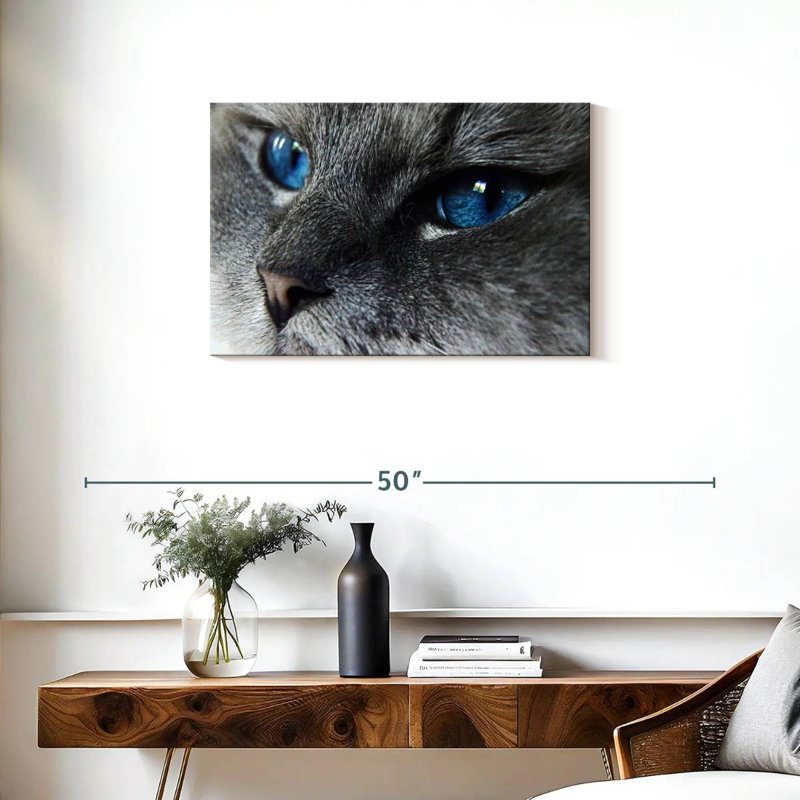 Chat Brampt aux yeux bleus, H 20 po x l 30 po