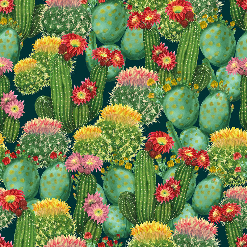 Pattern With Blooming Cactuses by Sveta_Aho - Wrapped Canvas Print, 30cm H x 30cm W