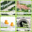 Frond Microfiber Green Botanical Design Rug,Washable Anti-Slip Mat for Indoor/Outdoor & Pet-Friendly Use-1388643740