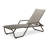Outdoor Rust-Resistant Metal Chaise Lounge-19510311-48935079