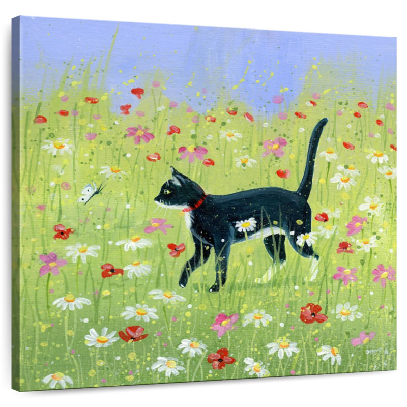 Crowle Sox, 24" H x 24" W