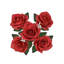 Rosier artificiel ouvert-577452966