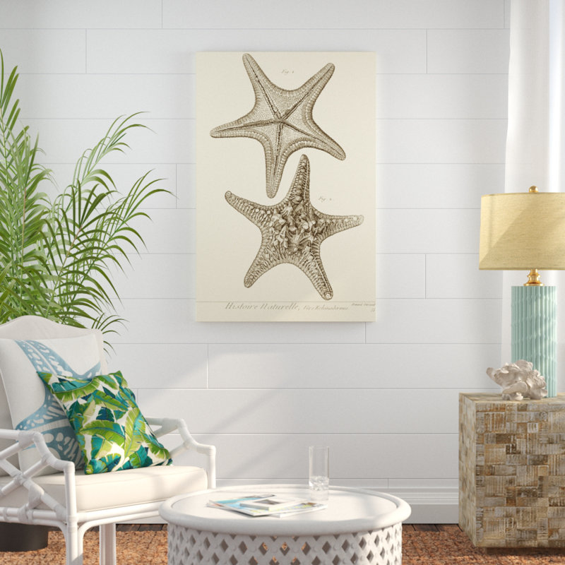 'Striking Starfish II' - Graphic Art Print, 122cm H x 81cm W, Wrapped Canvas