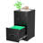 15'' Wide 2 Drawer Metal Vertical Storage File Cabinet with Lock-720055551