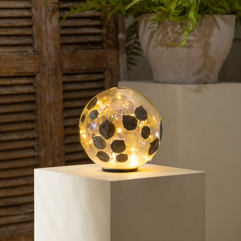 Dried Eucalyptus LED Gazing Ball, 8"H