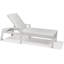 Whitlock Cushion Outdoor Chaise Lounge