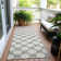 Colturo Area Rug
