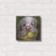 «Clumber Spaniel 2» par Barbara Keith-872275805