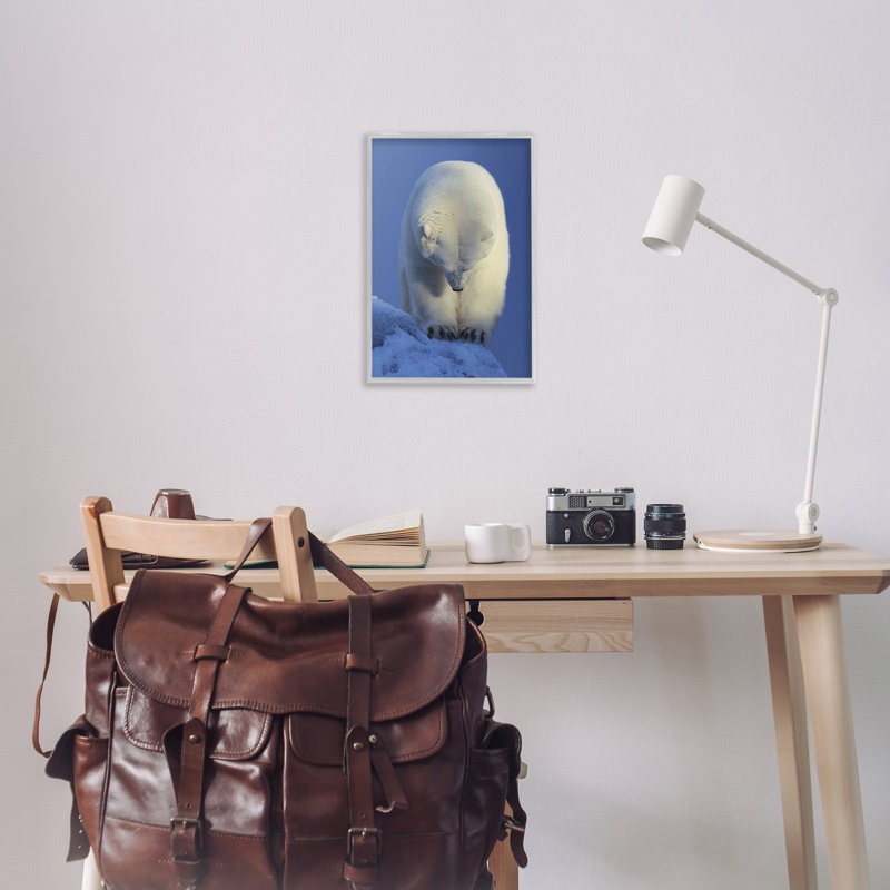 Contemplation, giclée d'ours polaire par Shane Lamb, Estampe numérique Farmhouse, H 24 po x l 16 po