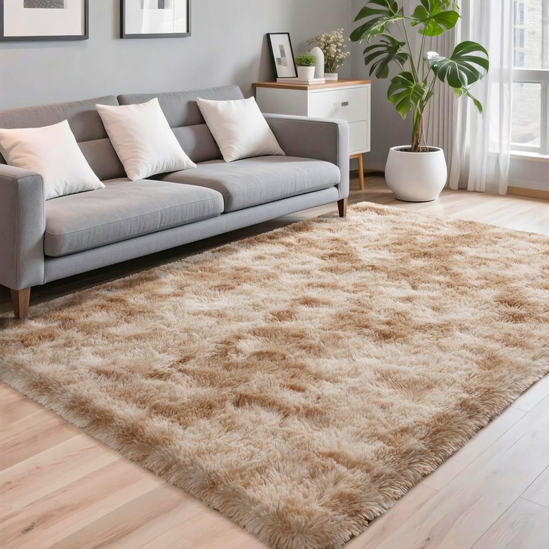 Tapis à longs poils teintés pour salon