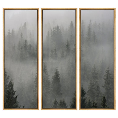 Foggy Pine Forest Landscape in Moody Gray Green Tones - Pictures Framed Canvas Print Wall Art