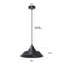 Bynoe 1 - Light Black Dome Pendant-1583948632