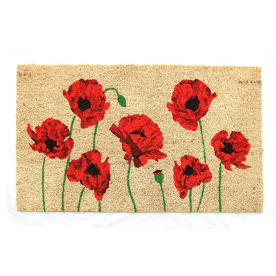 Non-Slip Indoor / Outdoor Doormat
