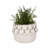 Stylish Ceramic Indoor Planter with Sculptural Heart Detail - Glossy Decorative Accent Pot for Modern Flower Pots - Textured Outdoor Planters and Home Garden Decor-453352068-453352075