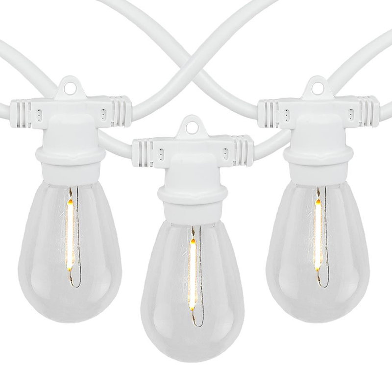 Amher Outdoor 48 - Bulb 48'' Plug-in Globe String Light, White