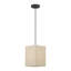 Luminaire suspendu en bronze 1 lumière Audreona
