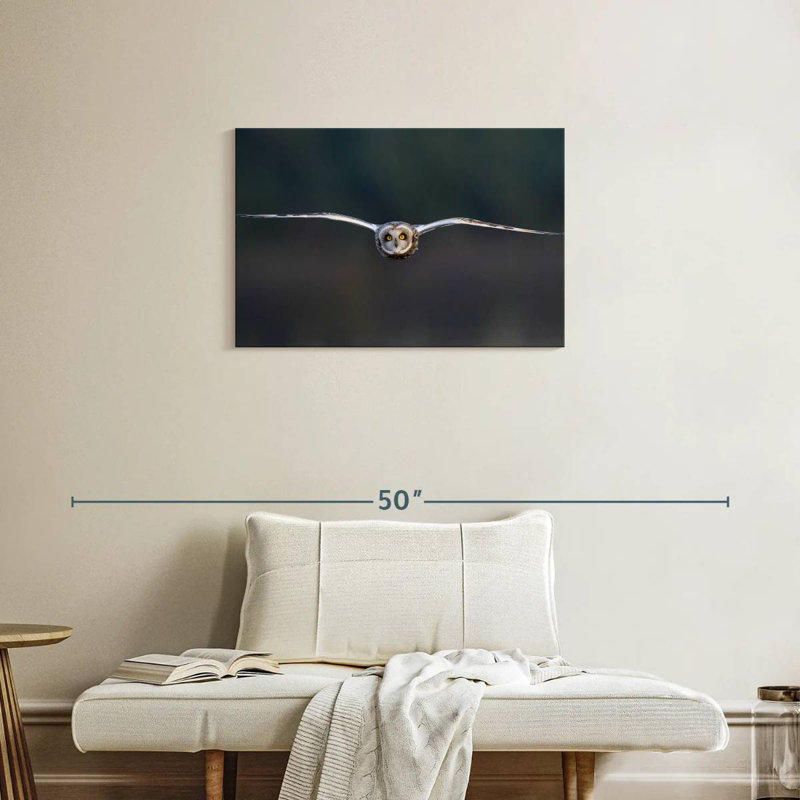 Brampt Owl Mid Air, 20" H x 30" W