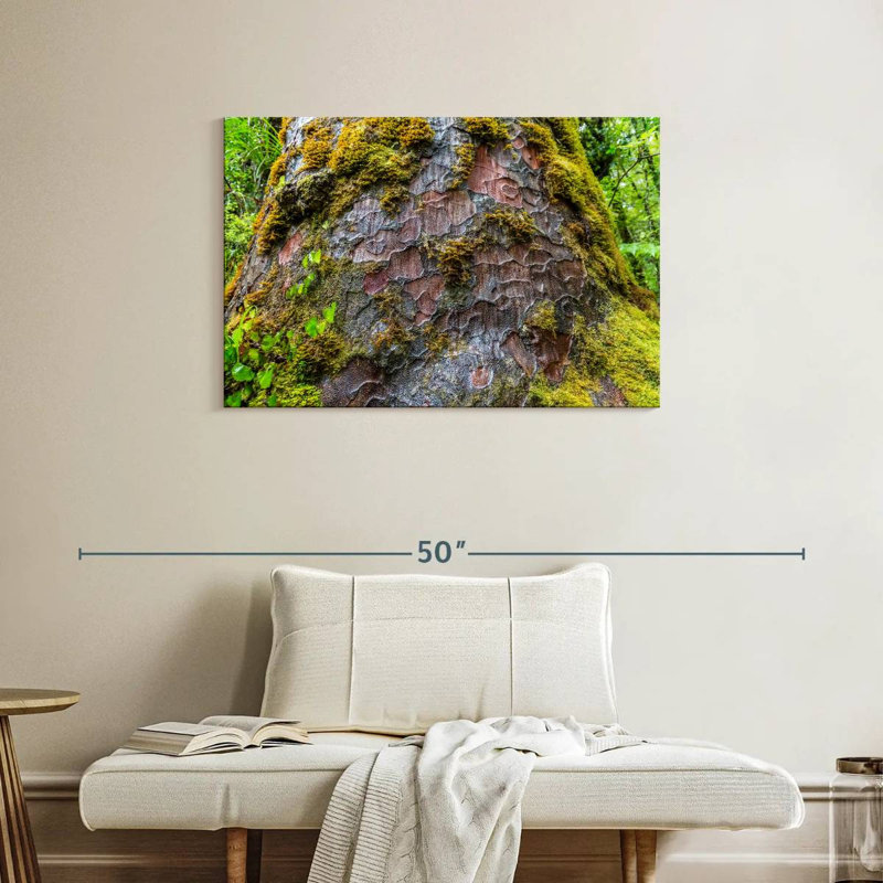 Mossy Kauri Tree, 24" H x 36" W