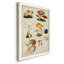 Mushroom Species IV, peinture sur toile encadrée-88440591-88440592
