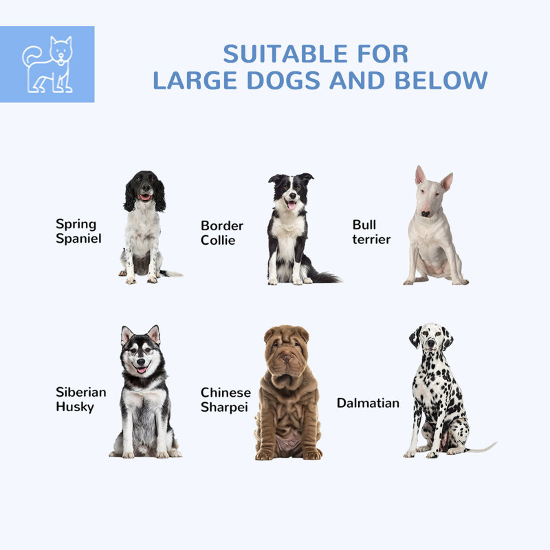 Parcours d'extérieur pour chien