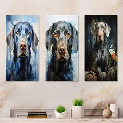 Dog Weimaraner Majestic Portrait - Dog Metal Art Print Set Of 3